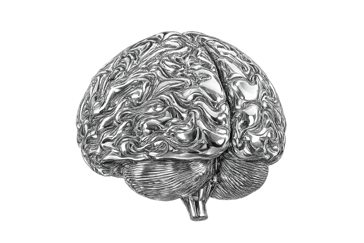 Brain illustration