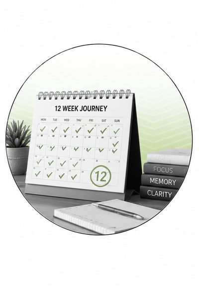 12 week journey